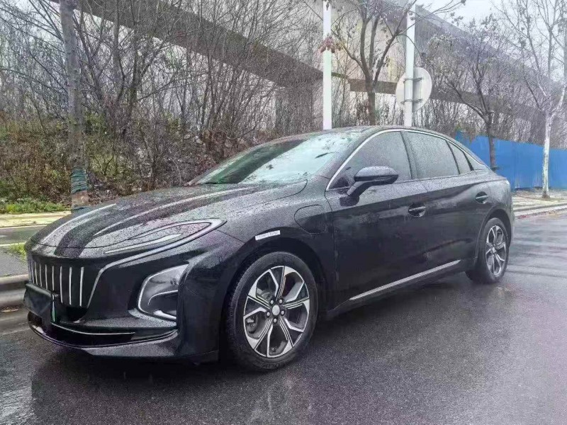 衡阳24年红旗E-QM53