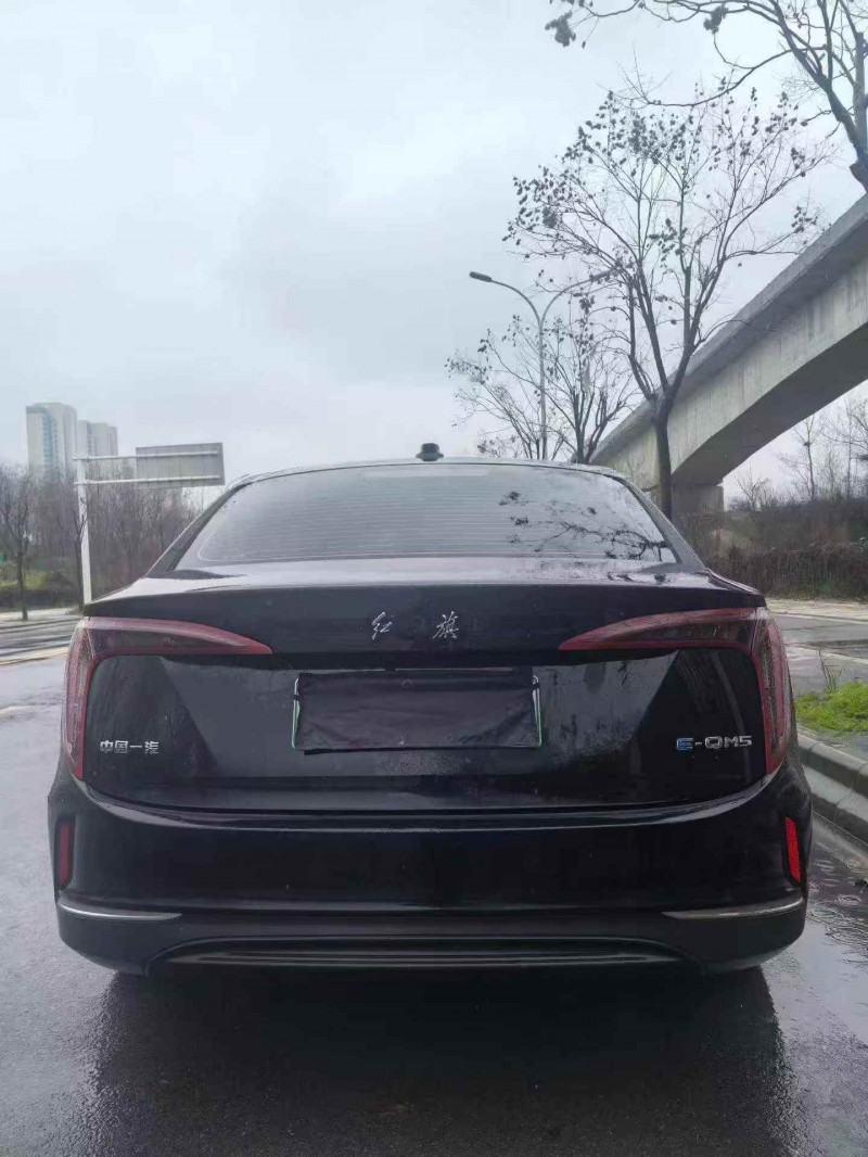 衡阳24年红旗E-QM59