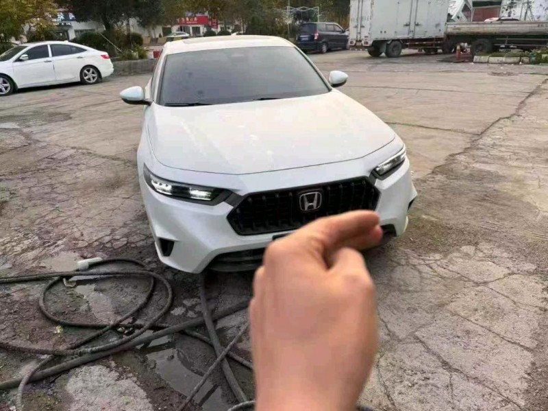 枣庄24年本田英诗派1