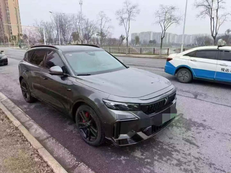 鄂州24年岚图汽车FREE2