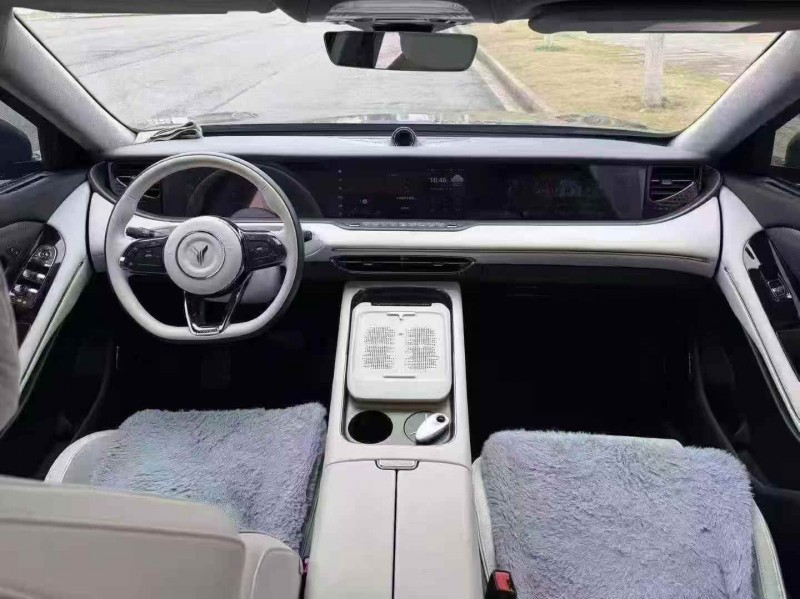 鄂州24年岚图汽车FREE4