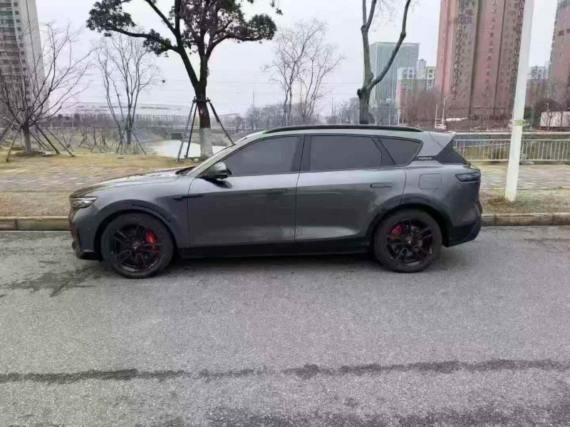 鄂州24年岚图汽车FREE8