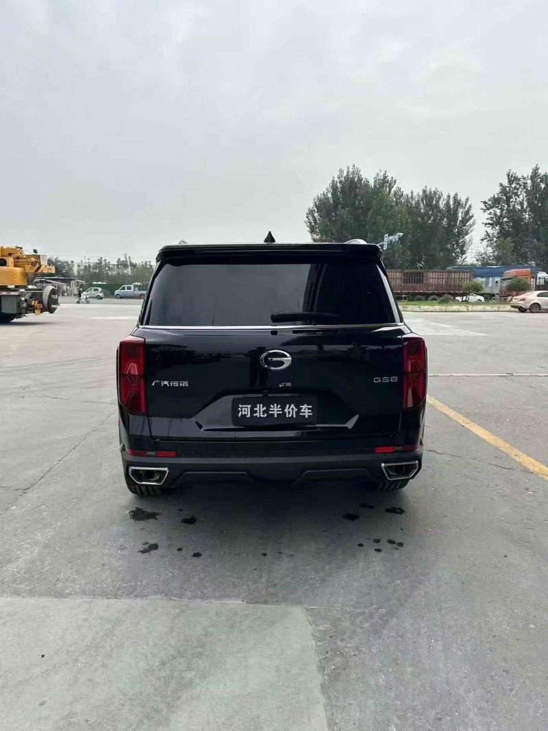 邢台25年传祺埃安S9