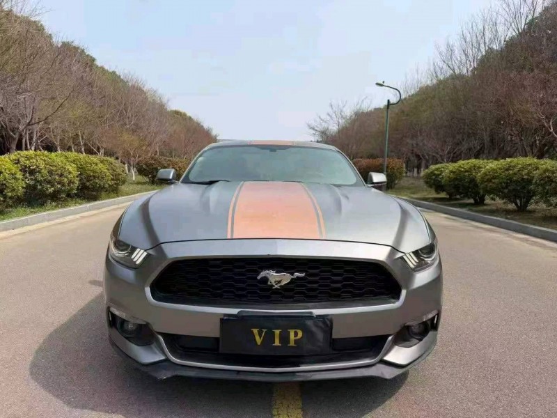 南通17年福特野马1