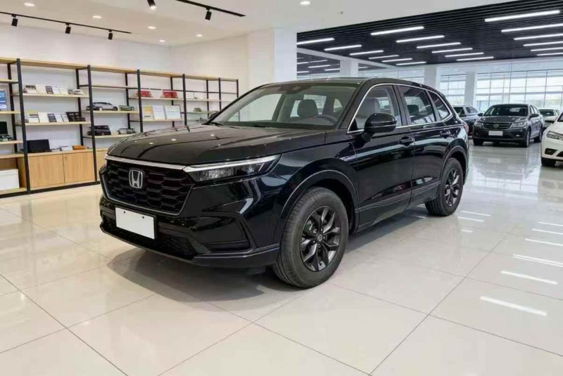 邯郸25年本田皓影4