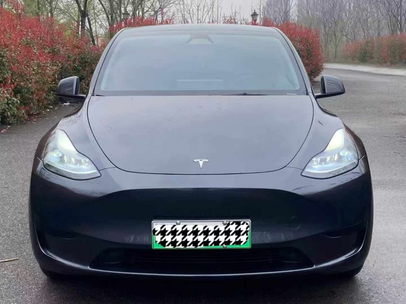 十堰24年特斯拉MODEL Y1