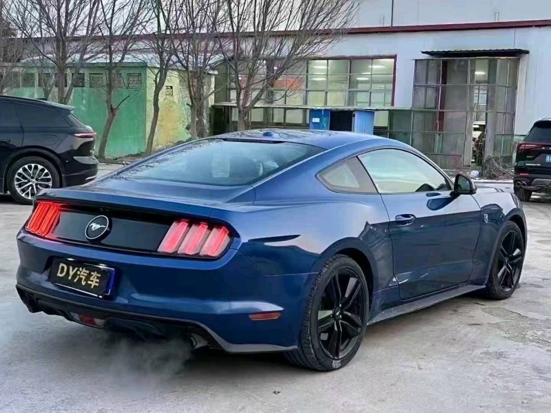 菏泽18年福特野马7