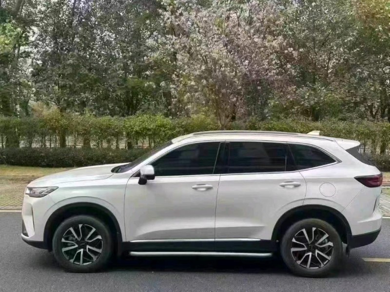 广州23年哈弗H65