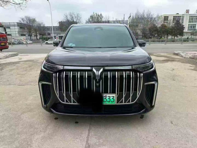 济宁24年岚图汽车梦想家1