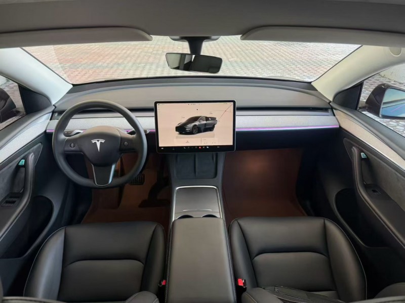 松原24年特斯拉MODEL Y5