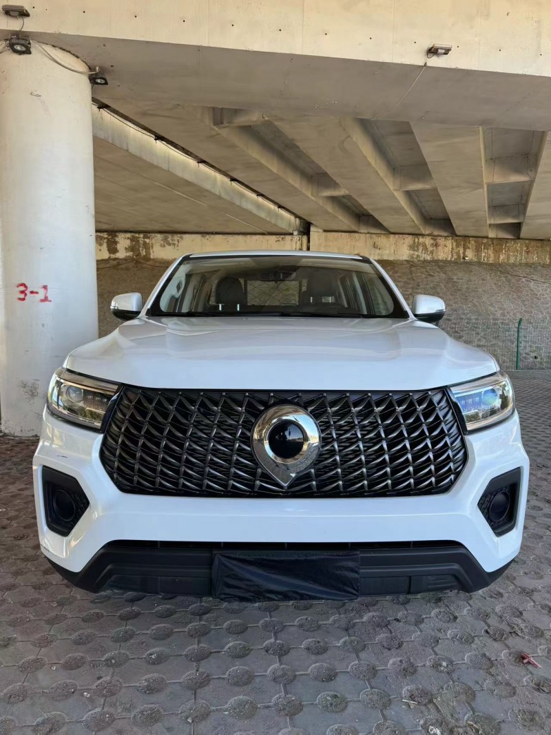 松原24年长城汽车炮 皮卡1