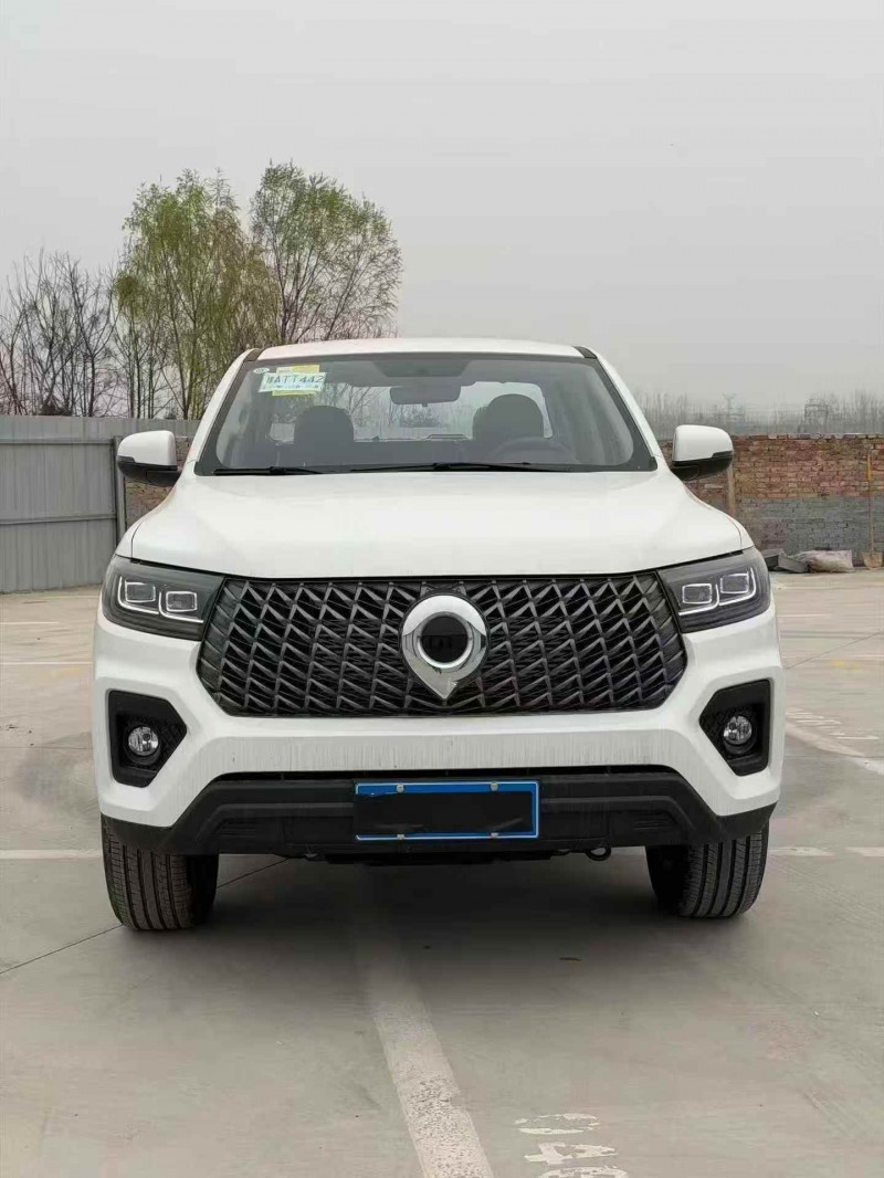 平顶山26年长城汽车炮 皮卡1