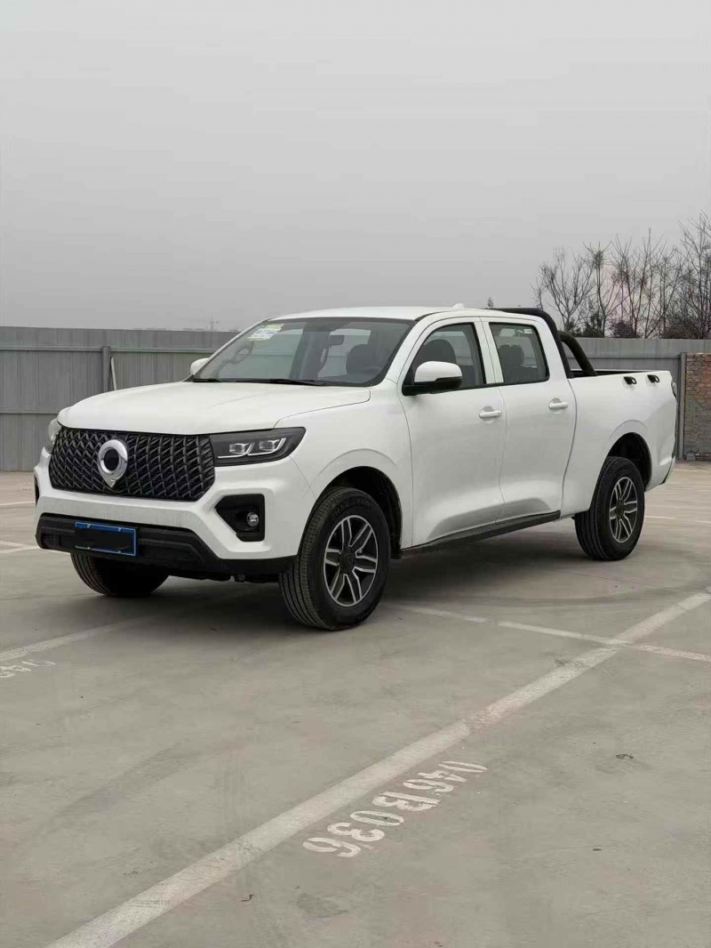 平顶山26年长城汽车炮 皮卡3