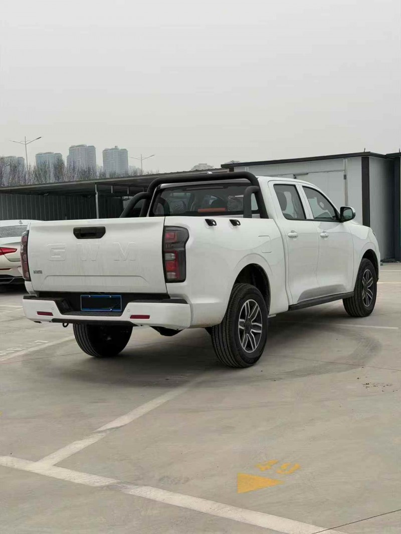 平顶山26年长城汽车炮 皮卡8