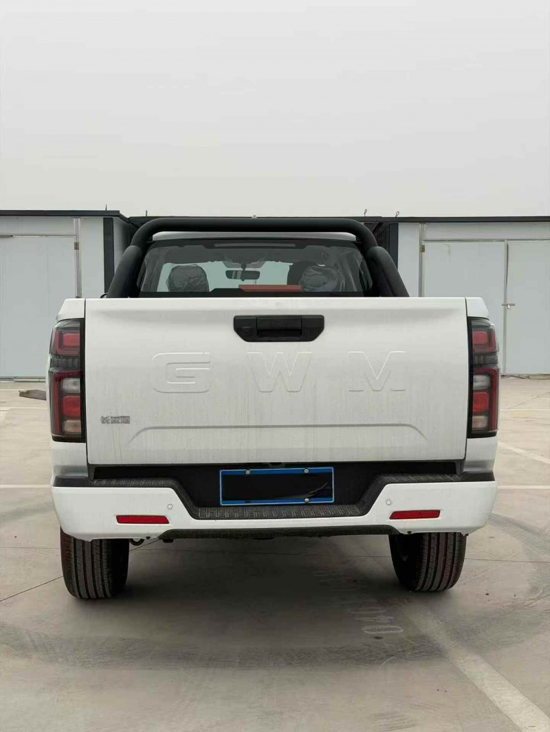 平顶山26年长城汽车炮 皮卡9