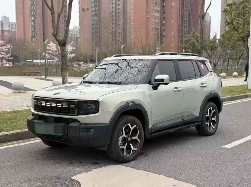 鄂州25年奇瑞捷途3