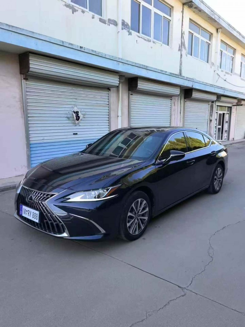 枣庄22年雷克萨斯ES2