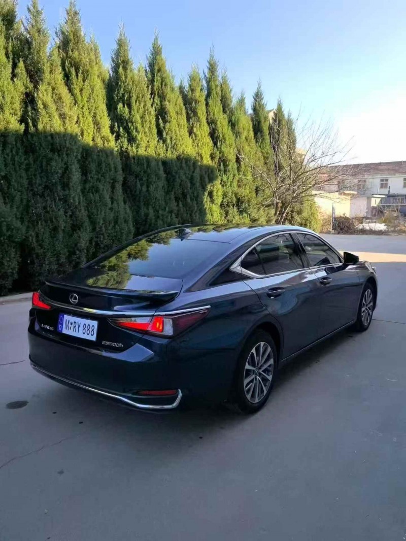 枣庄22年雷克萨斯ES8