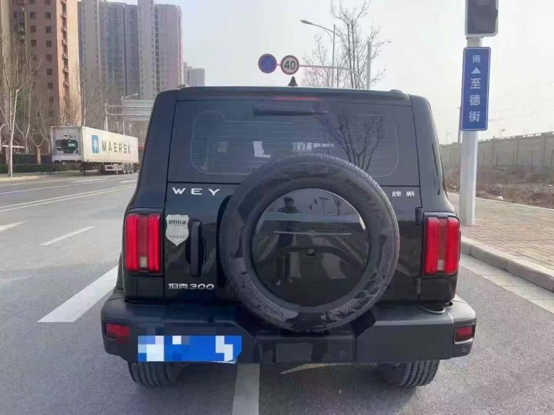 安阳21年长城汽车坦克8