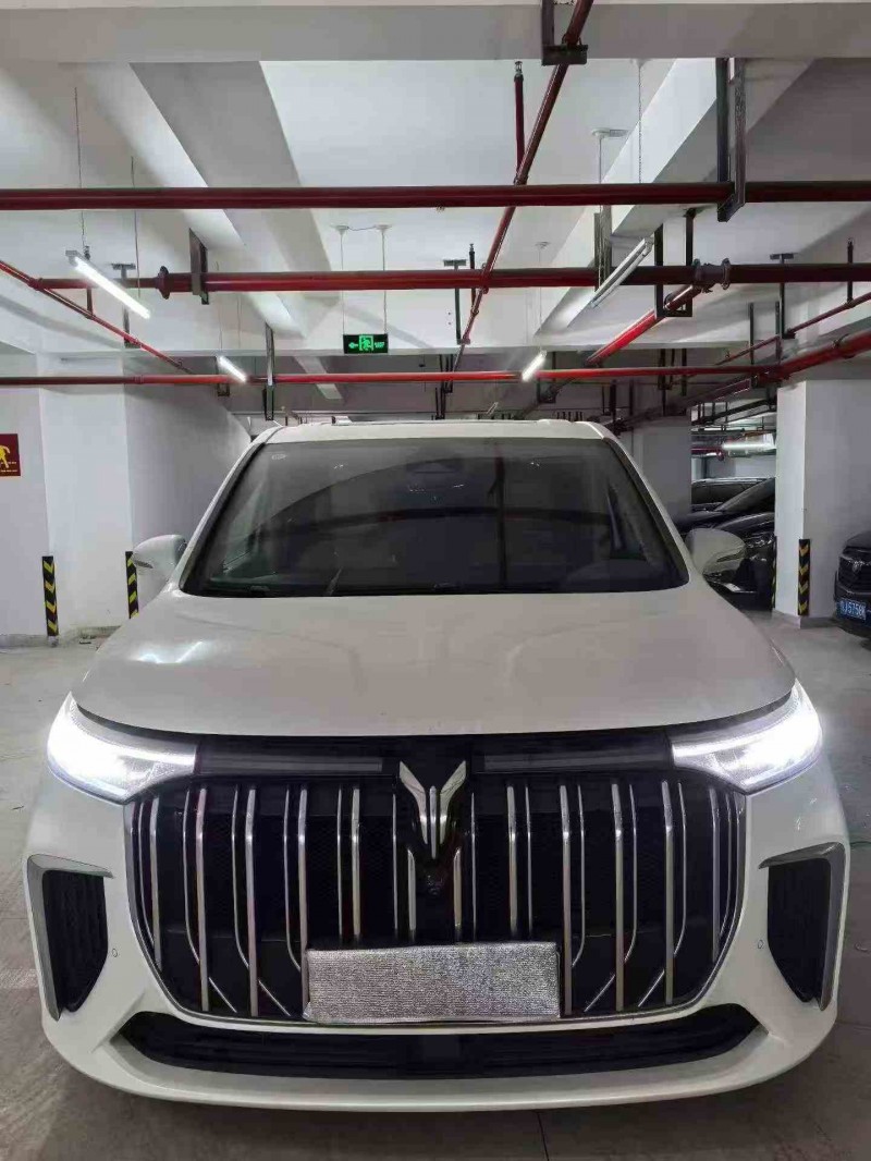 咸阳22年岚图汽车梦想家1