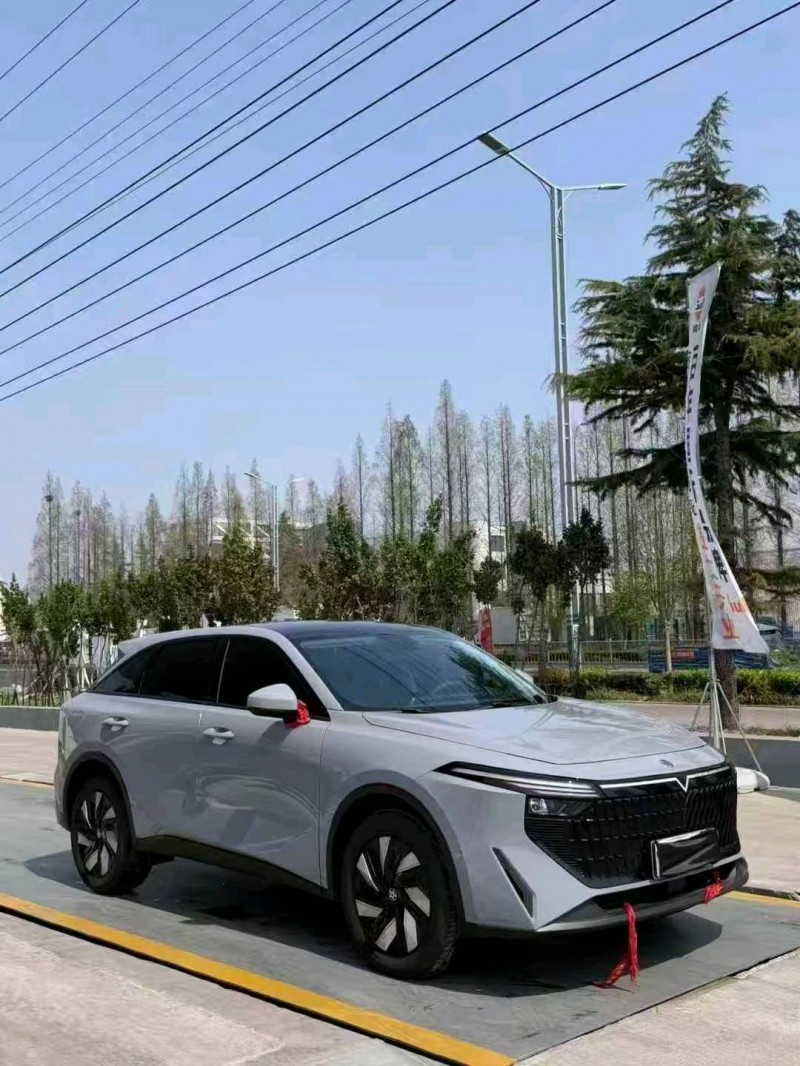 潍坊24年启辰大V2