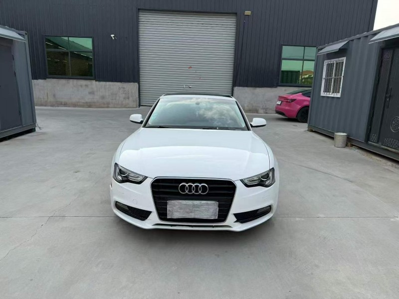 徐州13年奥迪A51