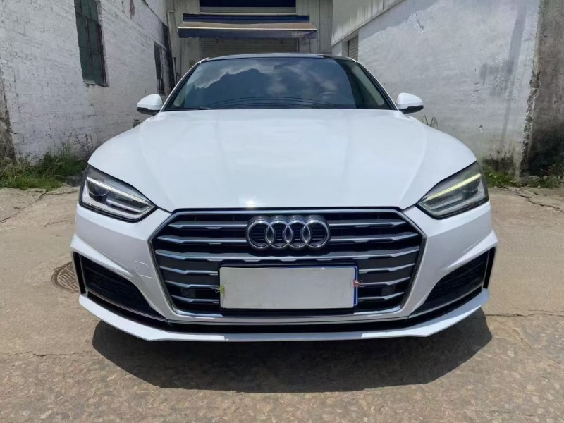 佛山17年奥迪A51