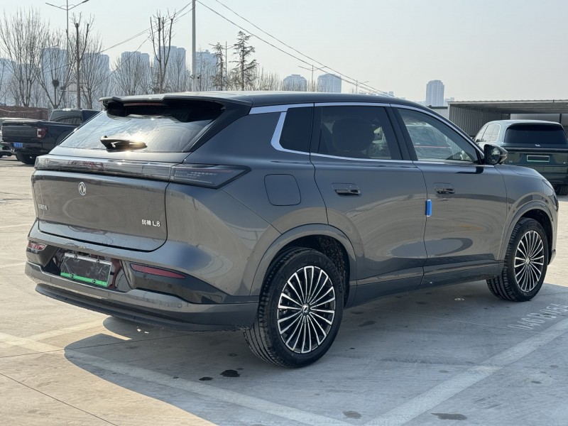 新乡26年东风风神9