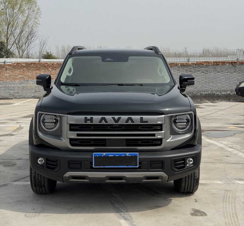 新乡24年哈弗大狗1