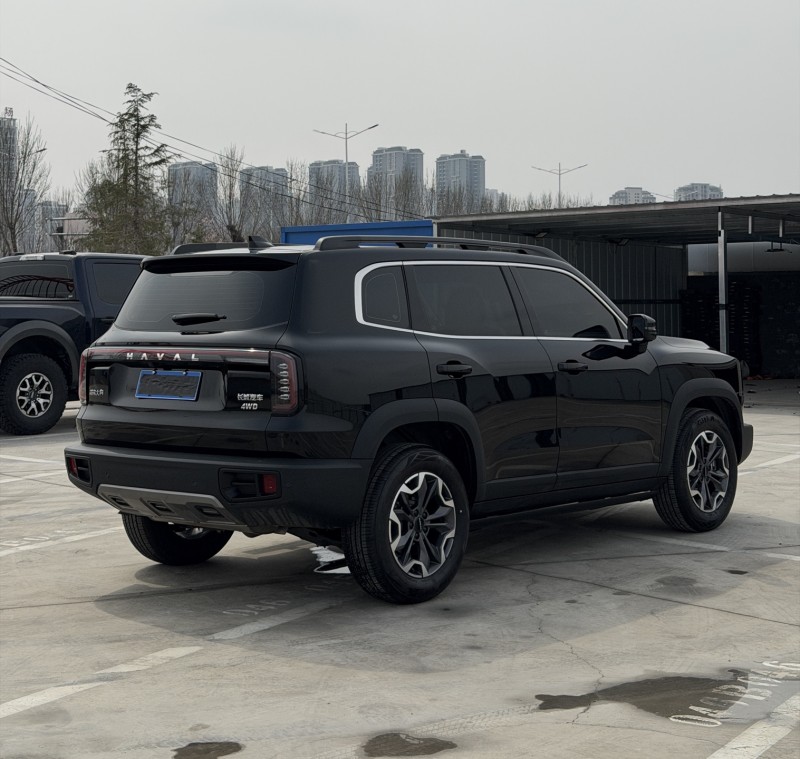 新乡24年哈弗大狗9