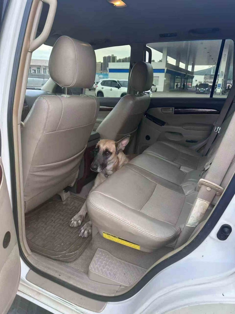 江門10年豐田普拉多5