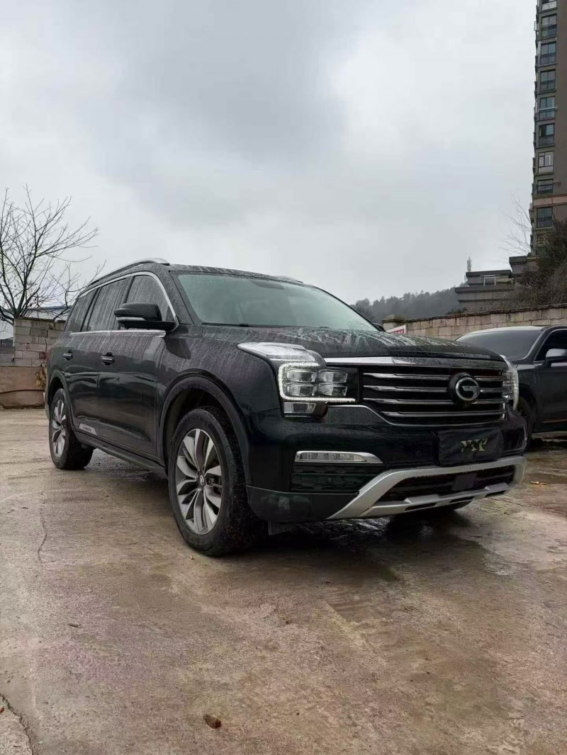 邵阳17年传祺GS82