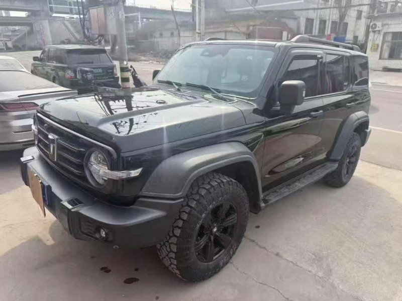 安陽21年長城汽車坦克2