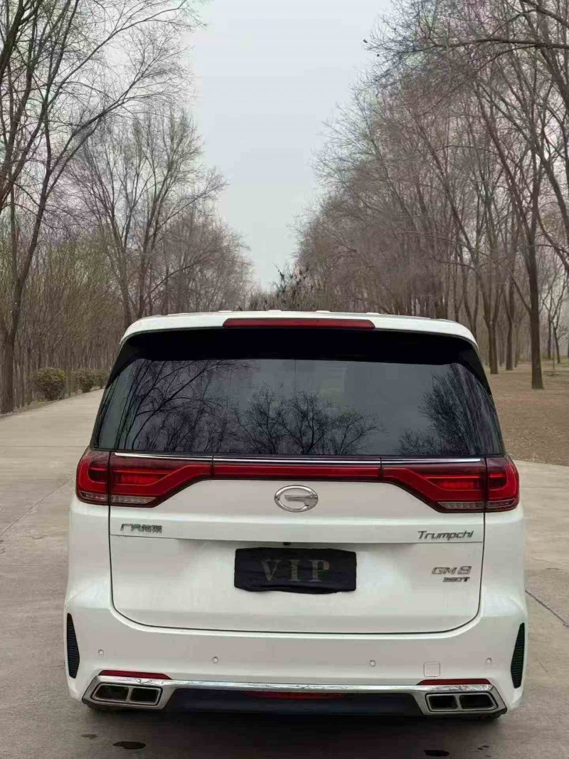 濟寧20年傳祺M8/GM89