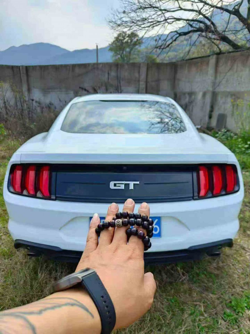 九江18年福特野马9