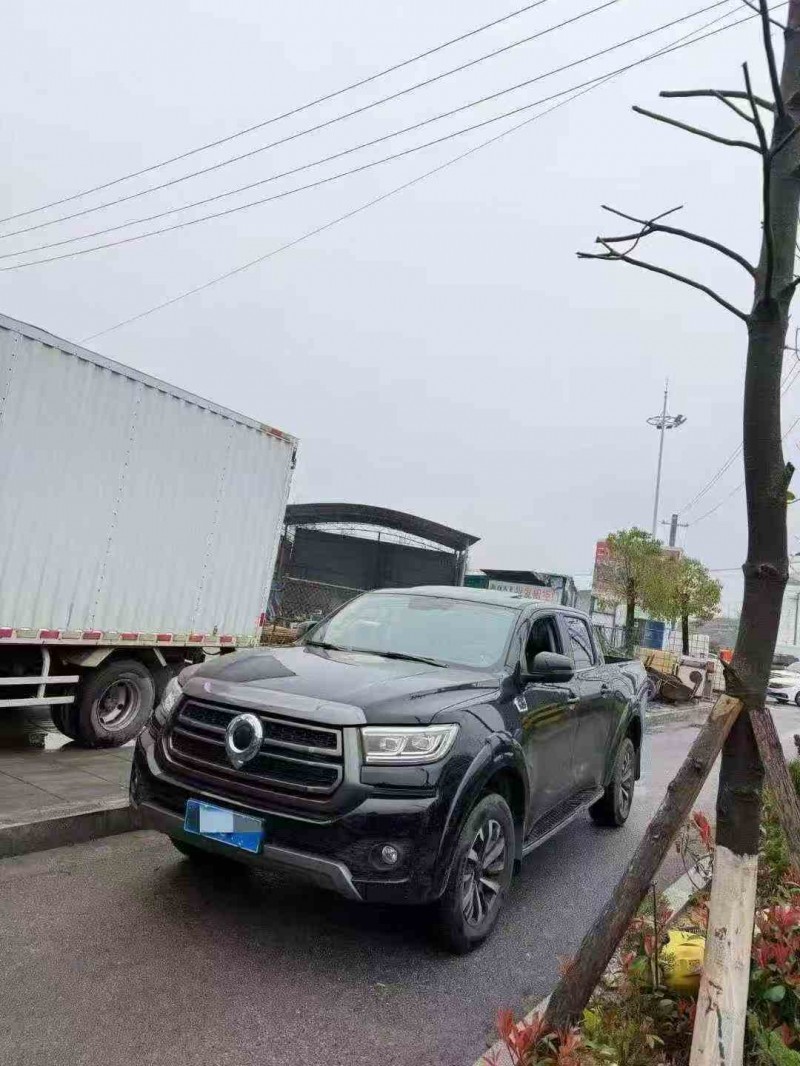 邵阳25年长城汽车炮 皮卡2