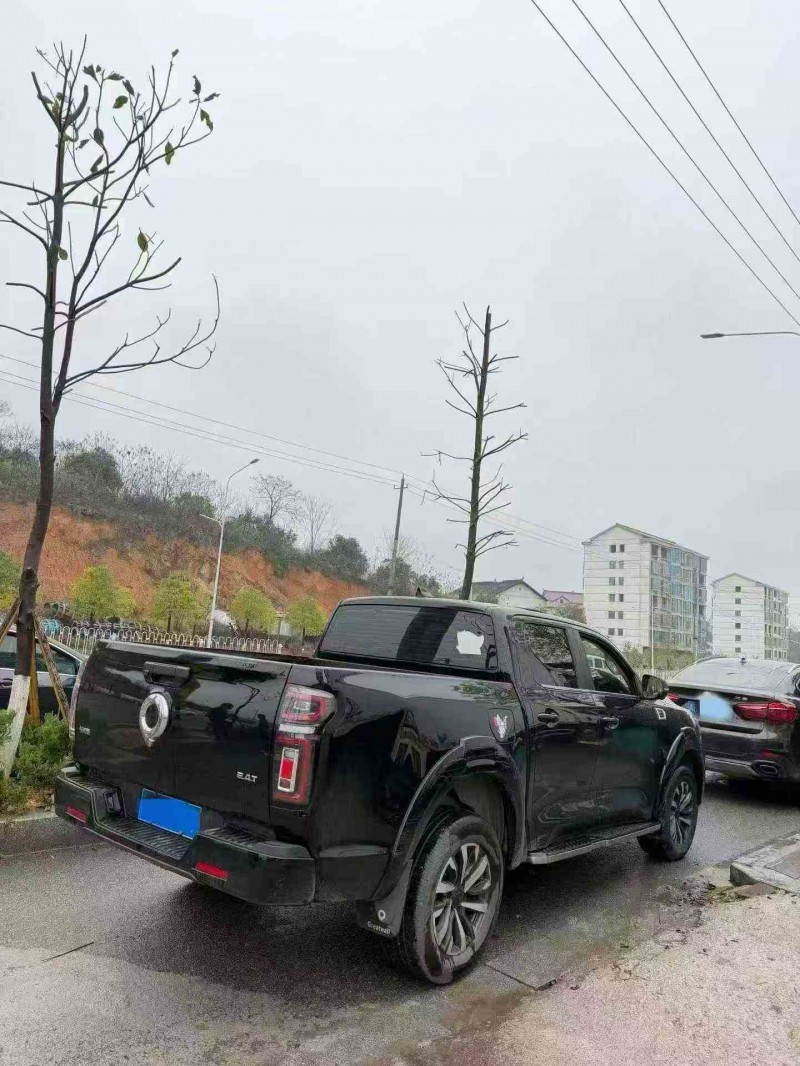 邵阳25年长城汽车炮 皮卡8