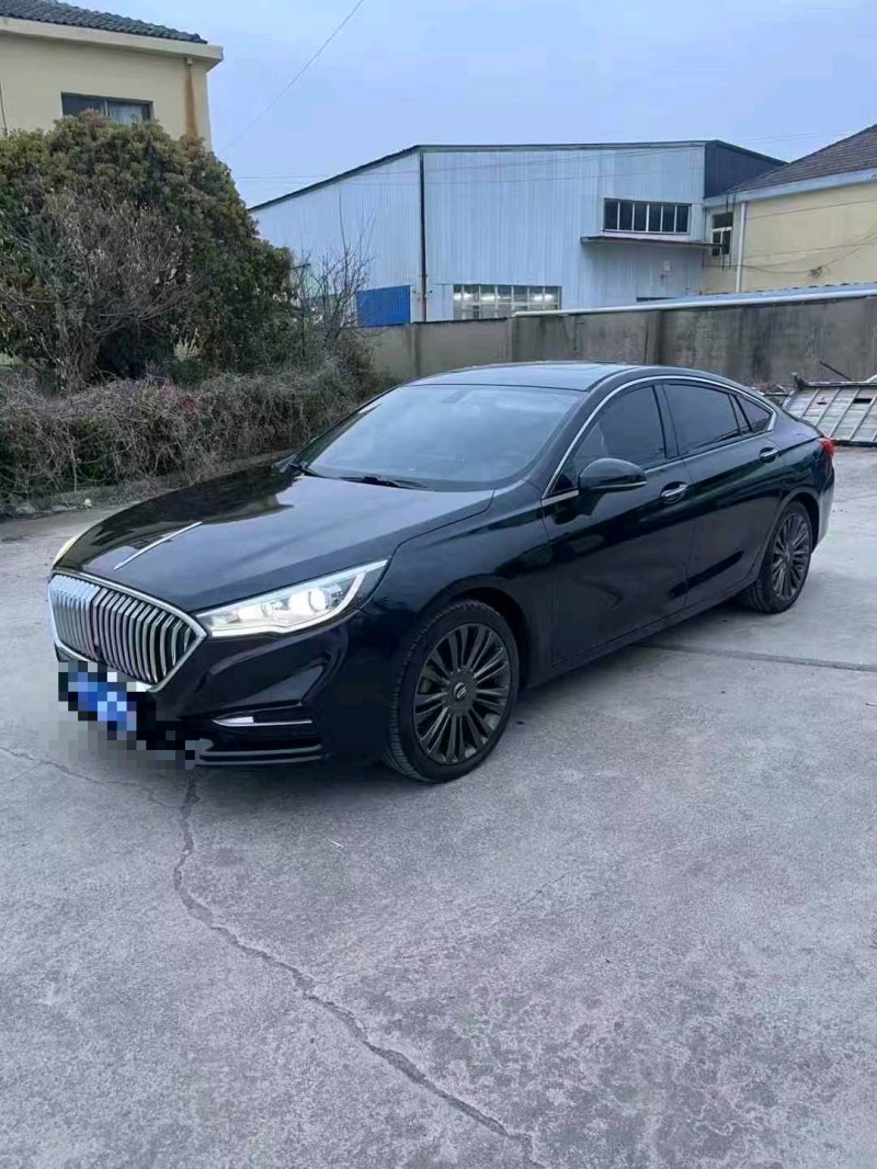 铜陵21年红旗H53