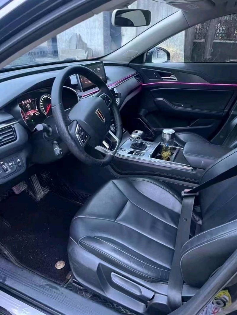 铜陵21年红旗H54