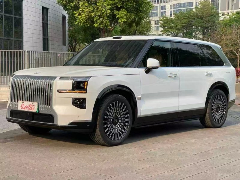 佛山26年极氪汽车9X3