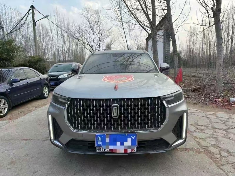 烟台20年奔腾T991