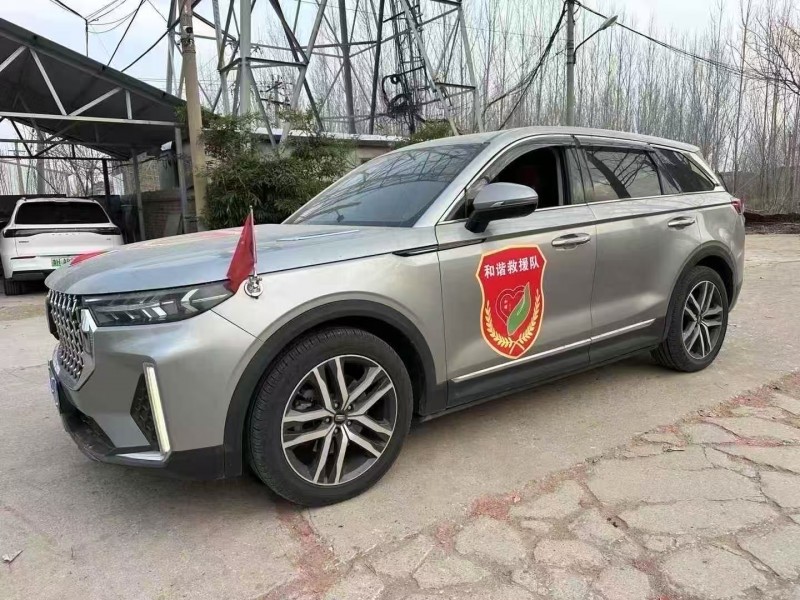 烟台20年奔腾T992