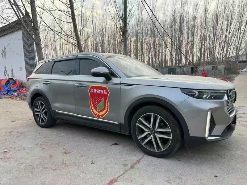 烟台20年奔腾T993