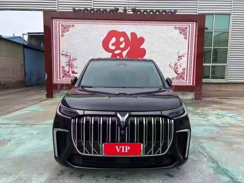 东营25年岚图汽车梦想家1