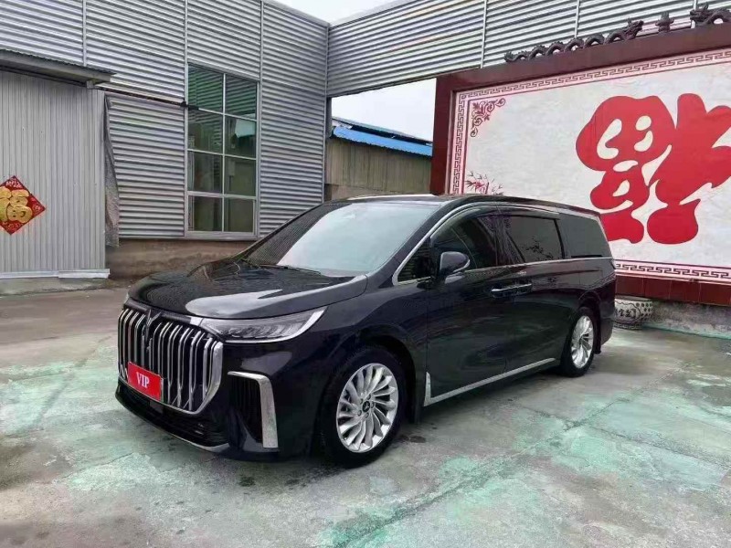 东营25年岚图汽车梦想家2