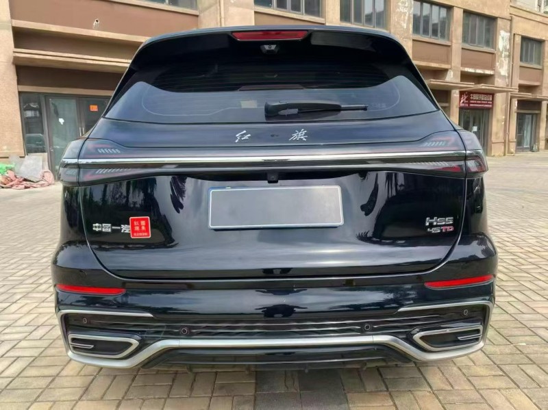 海口23年红旗HS59