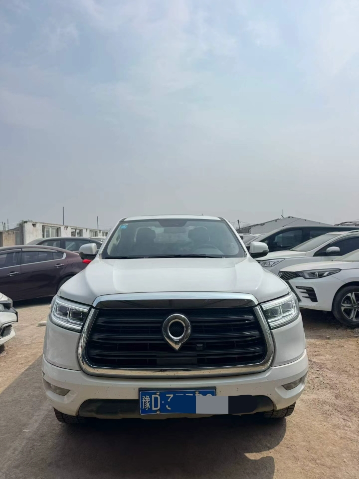 鹤壁20年长城汽车炮 皮卡1