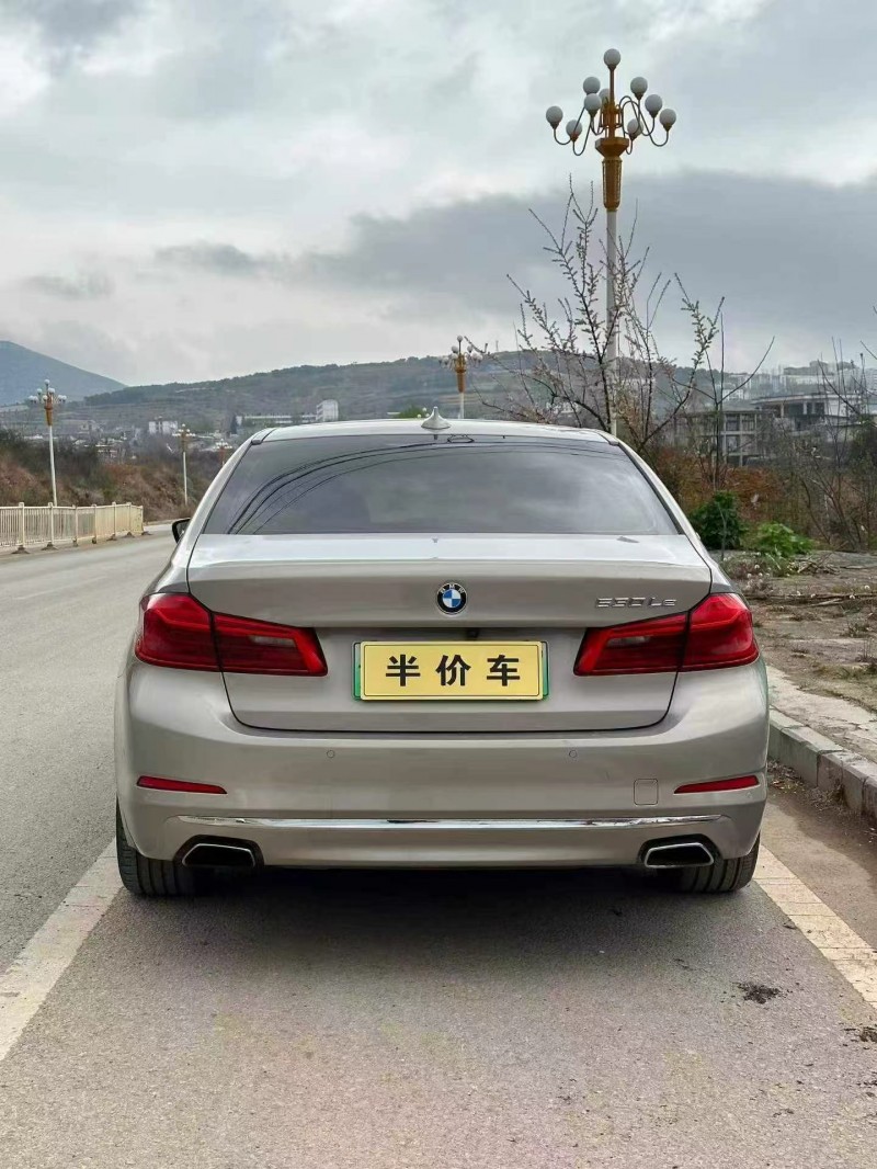 安顺18年宝马5系9