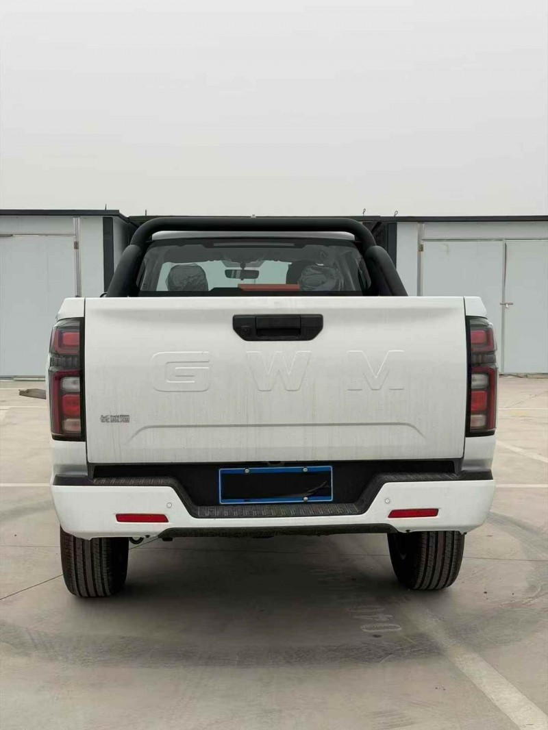 安阳26年长城汽车炮 皮卡8