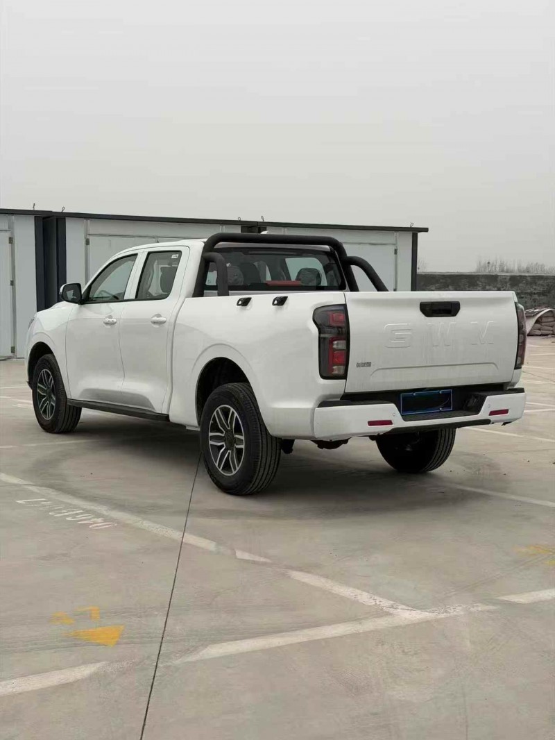 安阳26年长城汽车炮 皮卡9